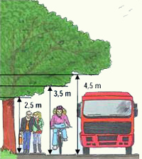 illustration: Om du har buskar eller träd som sträcker sig ut över gata eller gångbana ska du se till att det finns fri höjd för trafikanterna:  Över gångbana: minst 2,5 meter Över cykelbana: minst 3,5 meter Över körbana: minst 4,5 meter